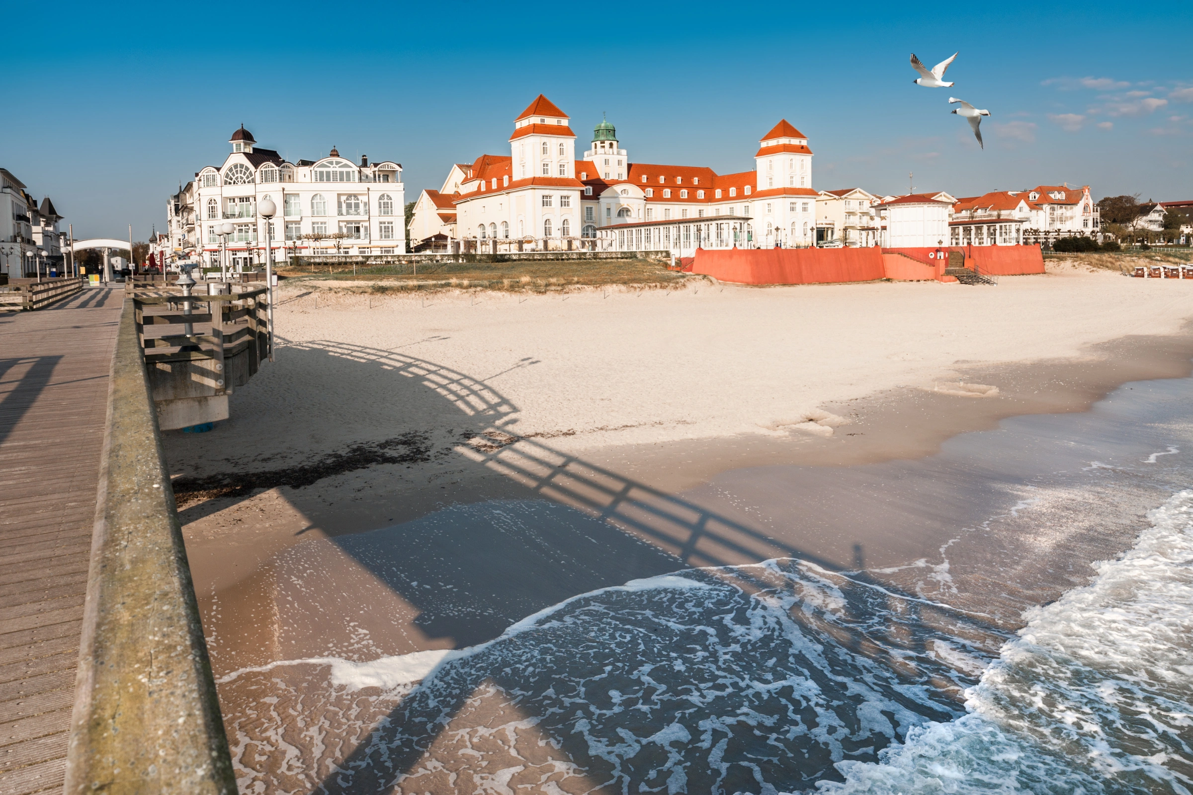 Binz[1].webp